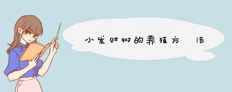 小发财树的养殖方 法
